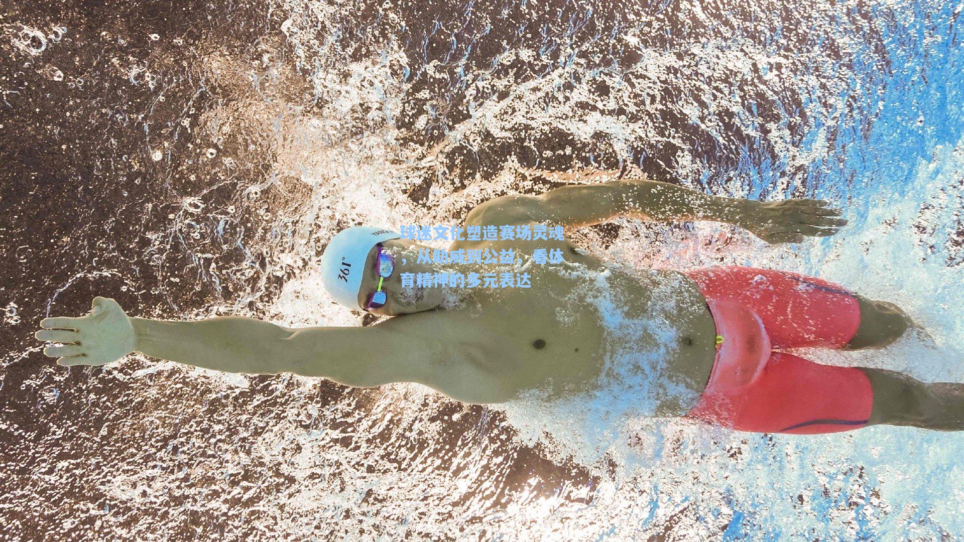 球迷文化塑造赛场灵魂，从助威到公益，看体育精神的多元表达